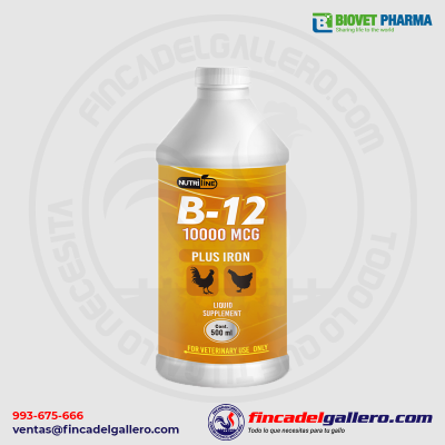Vitamina B12 10000 mcg