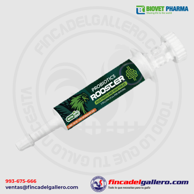 Probiotics rooster Probióticos para Gallos
