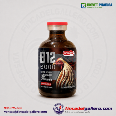 B12 6000 Solución Estéril