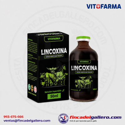 Contra Agentes Bacterianos – LINCOXINA Antibiótico