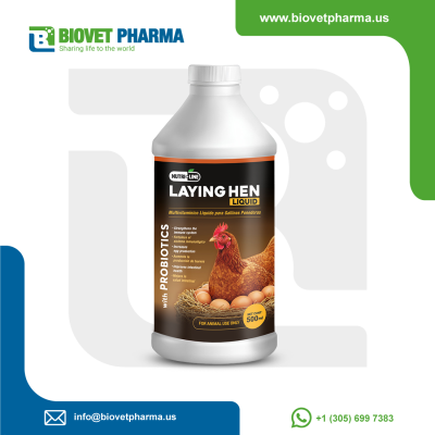 Layins Hen Liquid 500 ml