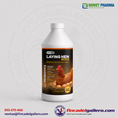 Layins Hen Liquid 500 ml