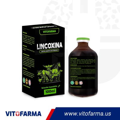 Contra Agentes Bacterianos – LINCOXINA