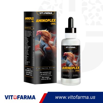 Aminoácidos para Gallos – Aminoplex Oral