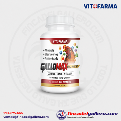 GALLOMAX FORTE 120 Softgels